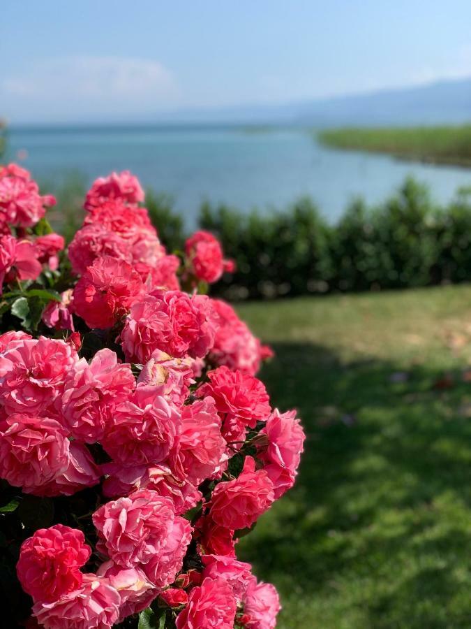 Guest House Tivko Katce Gostivar Exteriér fotografie